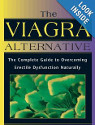 Erekticles and the 12 Epic Tasks of Generic Viagra